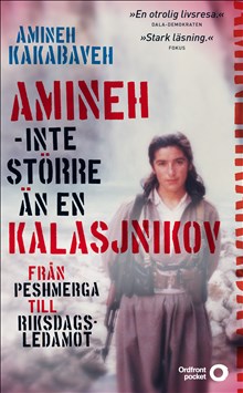 Amineh - inte större än en kalasjnikov: från peshmerga till riksdagsledamot