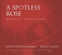 Spotless Rose: Nordic Christmas