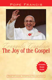 Joy of the Gospel - Pope Francis