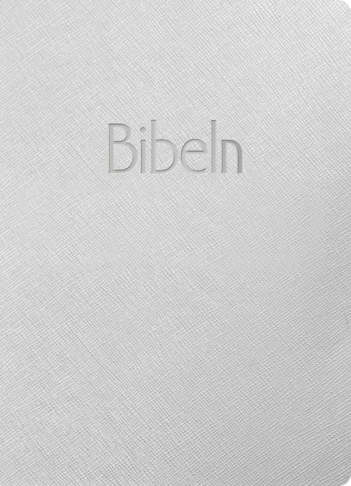 Bibel 2026, silver, mjukband