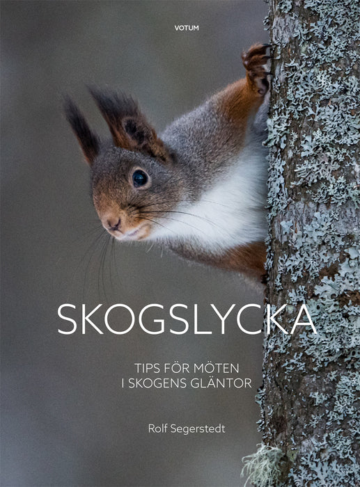 Skogslycka: tips för möten i skogens gläntor