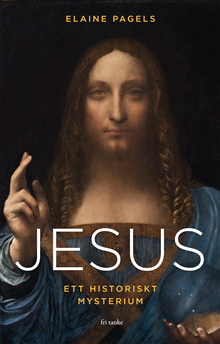 Jesus : ett historiskt mysterium