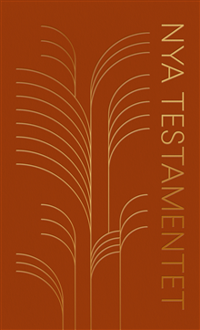 Nya testamentet 2026 Storpocket