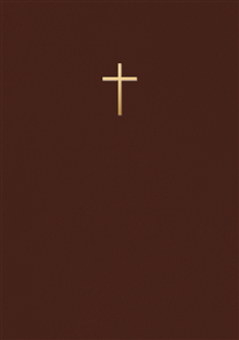 Bibel 2026 Mörkbrun konstskinn