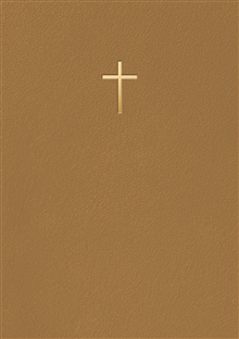 Bibel 2026 Bärnsten konstskinn