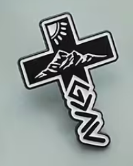 Pin X