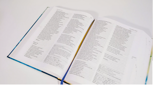 Bibel 2000 - fiskmotiv textil