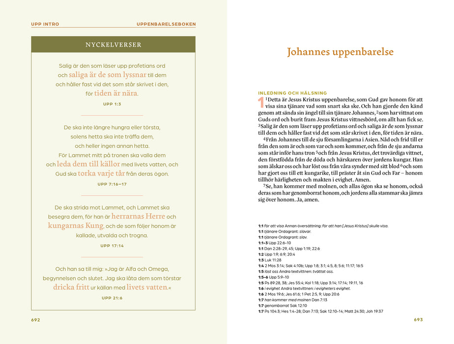 Nya testamentet (NT 2026) storpocket, pastell