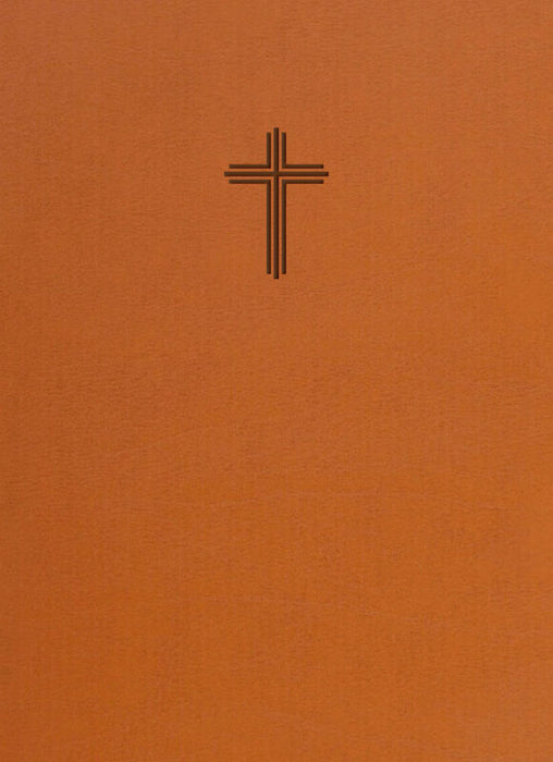 Bibel 2026 utan noter - konstskinn