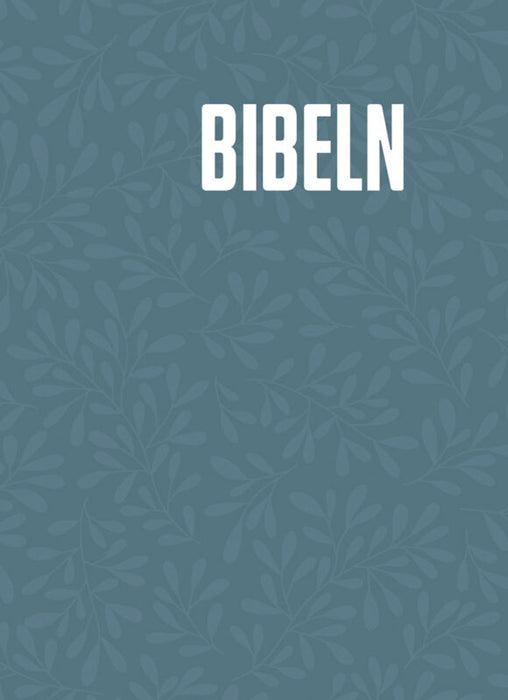 Bibel 2026 med noter - hårdbunden