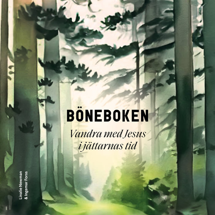 Böneboken - Vandra med Jesus i jättarnas land
