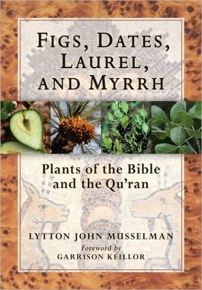 Figs, Dates, Laurel, and Myrrh - Plants of the Bible and the Quran