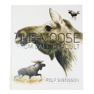 The Moose: From calf to adult