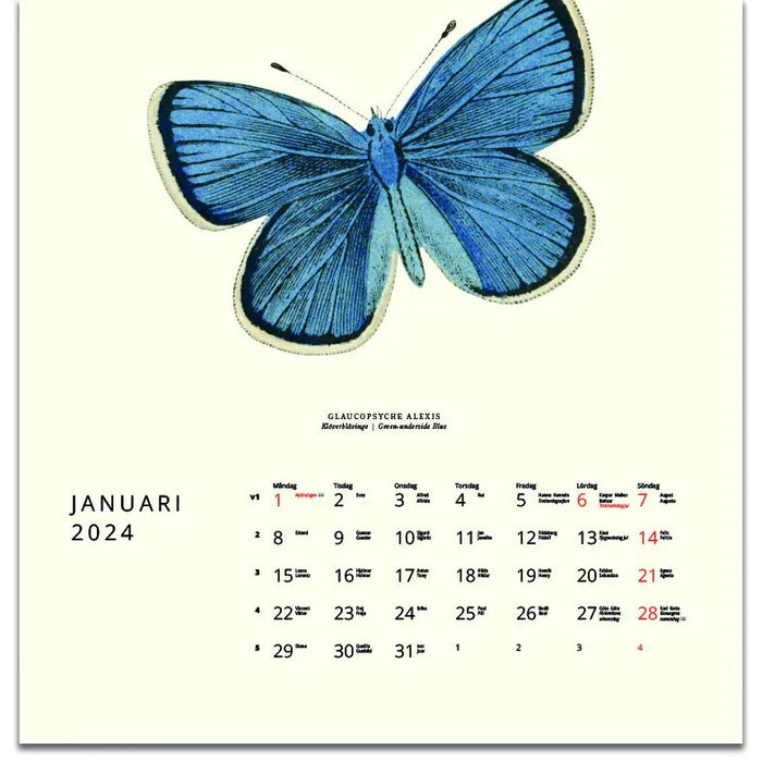 Fjärilar 2024 - Design Collection