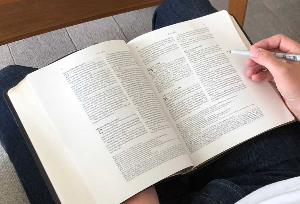 Anteckningsbibel - svart konstskinn