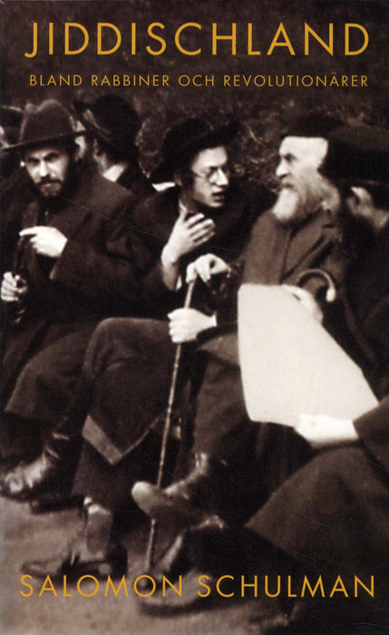 Jiddischland: bland rabbiner och revolutionärer