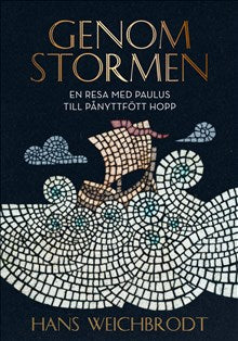 Genom stormen: En resa med Paulus till pånyttfött hopp